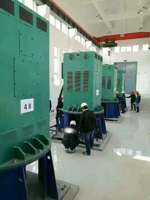 武川某污水处理厂使用我厂的立式高压电机安装现场